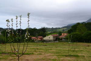 Alojamientos Rurales el Correntíu desde la finca agrícola
